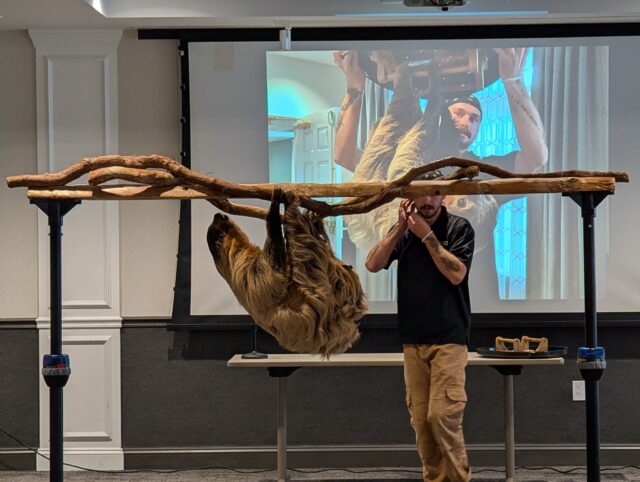 What a treat! The Creature Conservancy returned to Silver Maples, giving our residents an opportunity to get up close with some truly fascinating animals.

A few residents who had seen their programs elsewhere suggested we invite them back. Everyone enjoyed seeing the animals up close (and touching many of them!), while presenters Jordan and Chloe wowed us with fun facts and stories about their unique adaptations. The room was full of curiosity, smiles, and “I never knew that!” moments.

A huge thank you to Creature Conservancy for an unforgettable day!